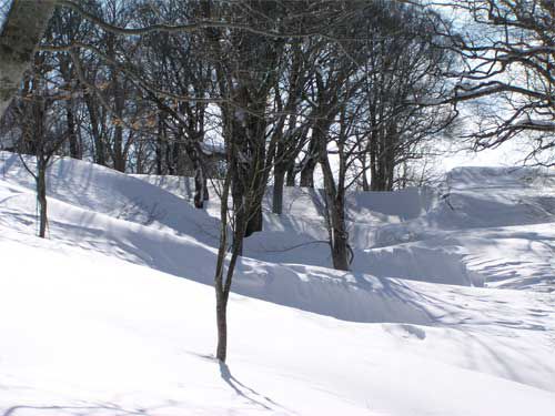 尾根近し