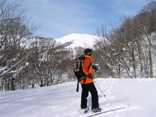 月山バックに
