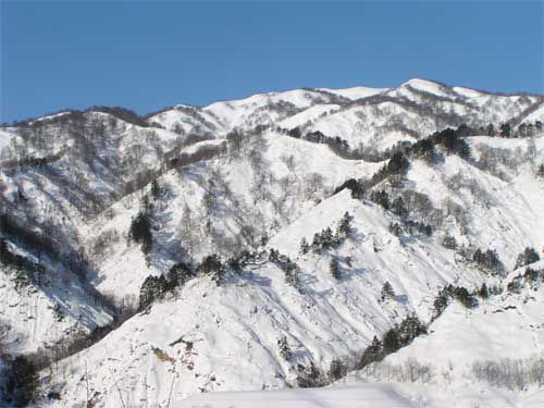 弓張平対岸