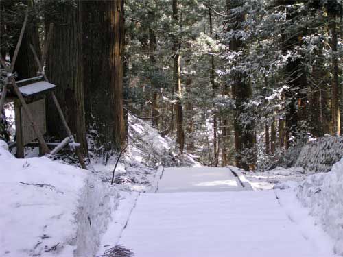 名残雪？