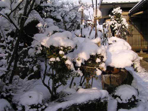 12日朝