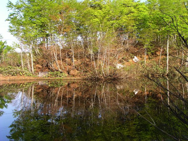 水面