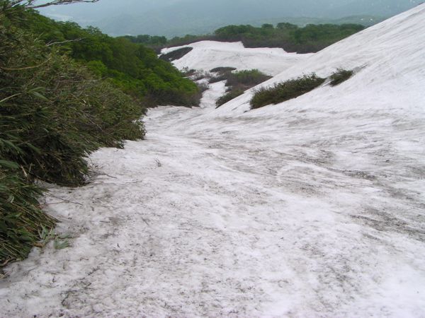 姥ヶ岳沢沿い