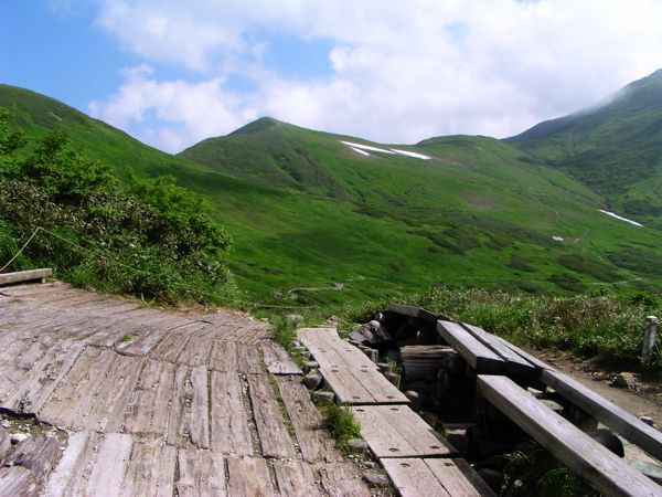 牛kubi 遠望