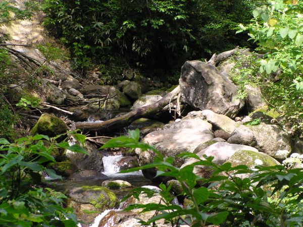 石跳川渡る