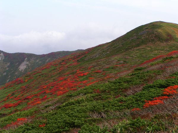 姥ヶ岳山頂より　1