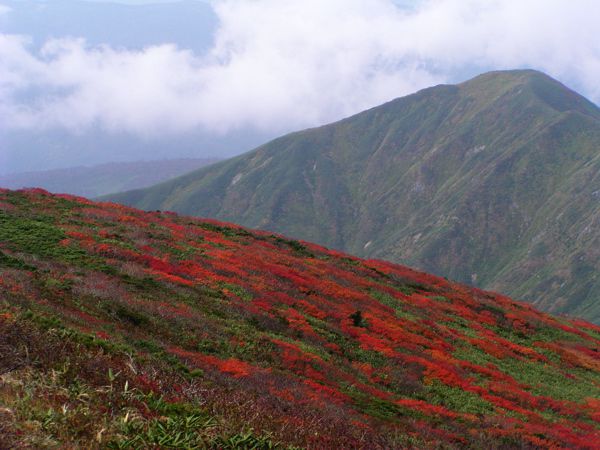 姥ヶ岳山頂より　2