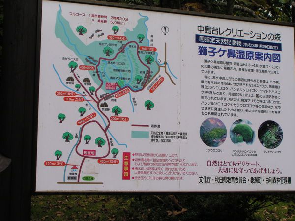 案内板