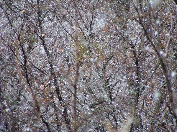尾根は吹雪