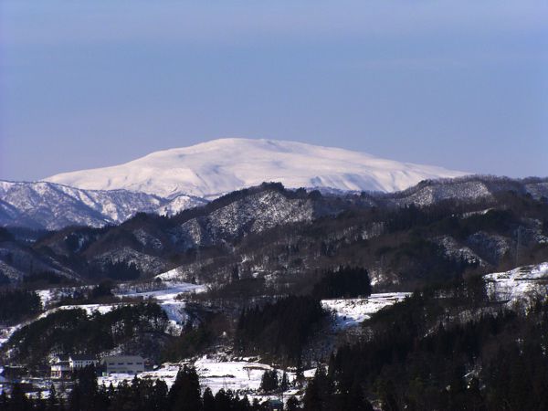 来年もよろしく