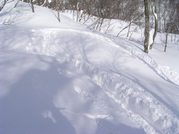 トレース