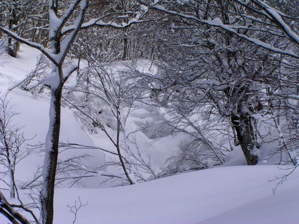 沢沿いに