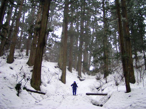 振り返れば入山口