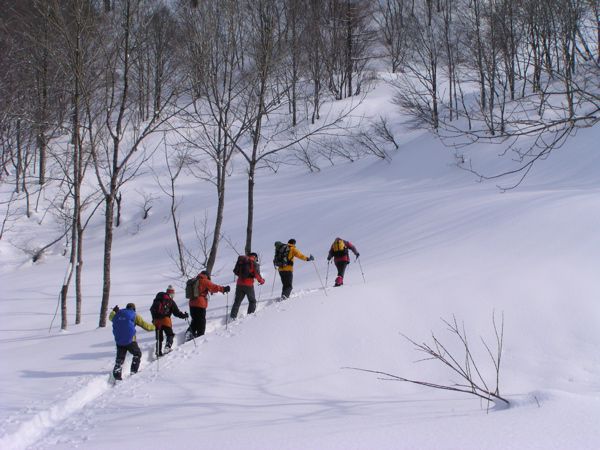 有料道路へ