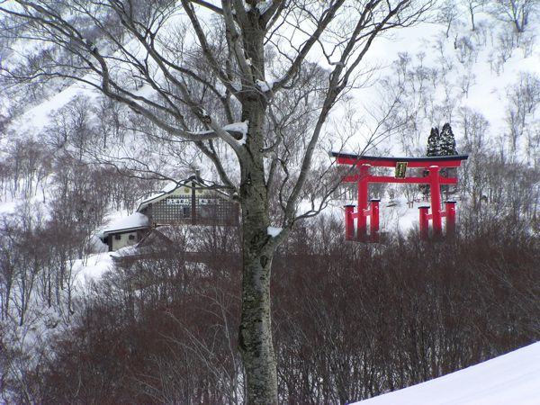 期待を込めて
