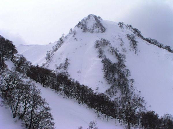 仙人ヶ岳