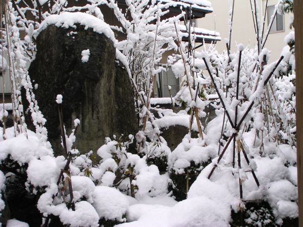 雪のある風景