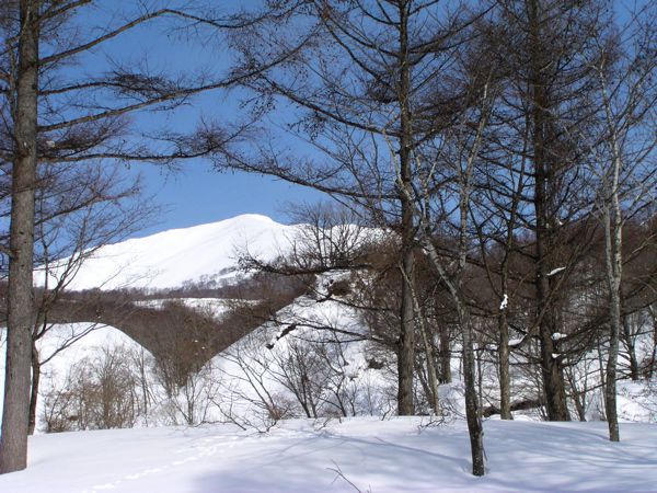 湯殿山山麓を