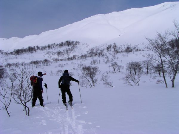 ブシ沼に立つ