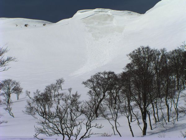 表層雪崩