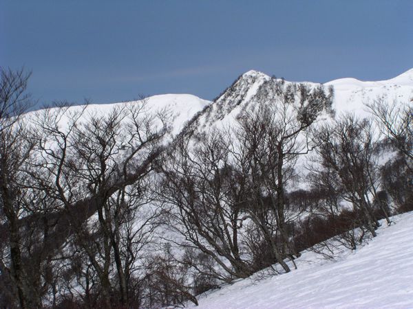仙人ヶ岳