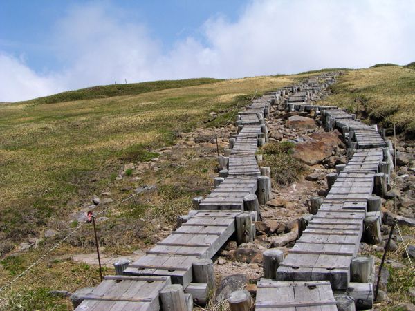 姥山頂