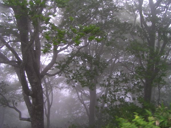 月山山頂へ