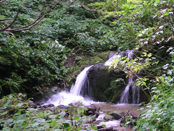 小休止