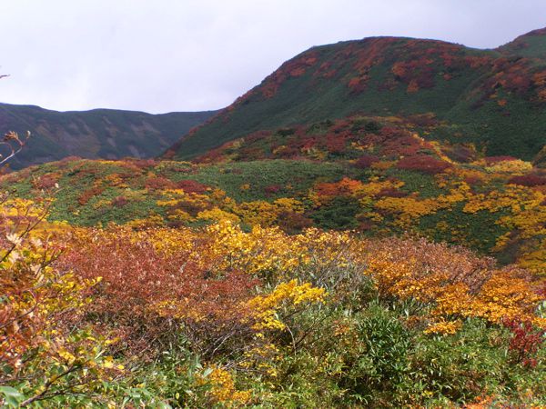 装束場　11