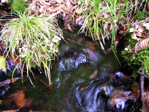 湧き水　4