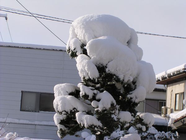日射しが