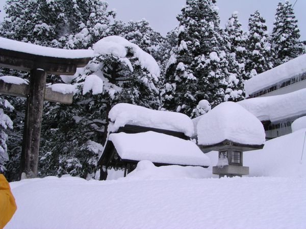 豪雪