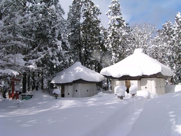 鎮守の森