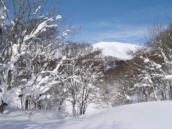 秀麗の峰月山