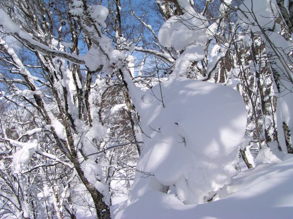 限界を越えて