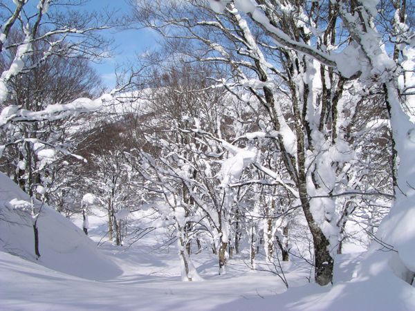 見馴れた風景