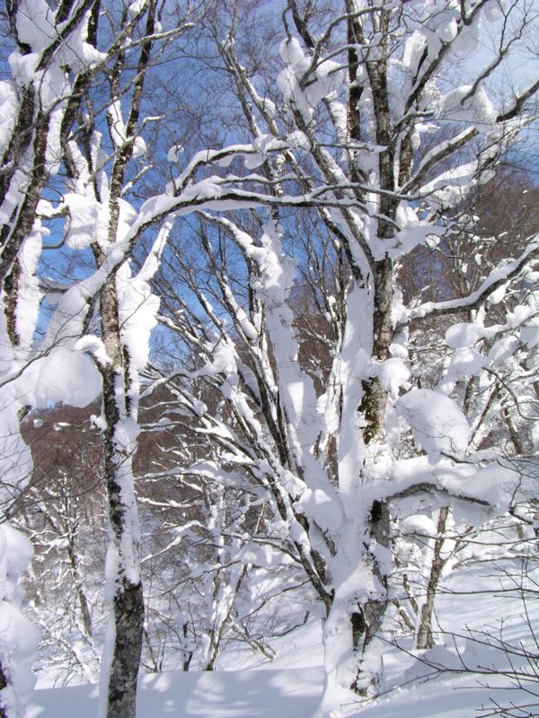 風景の中に　2