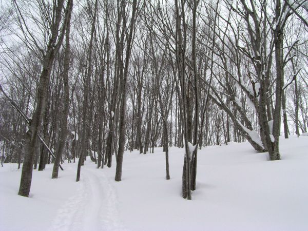 湯殿山直下へ