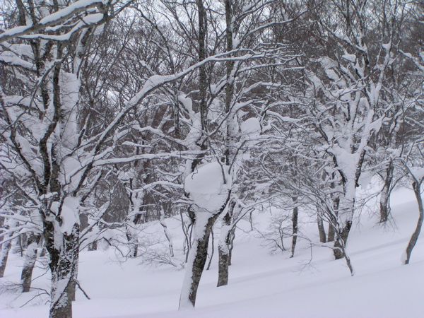 まばゆい風景