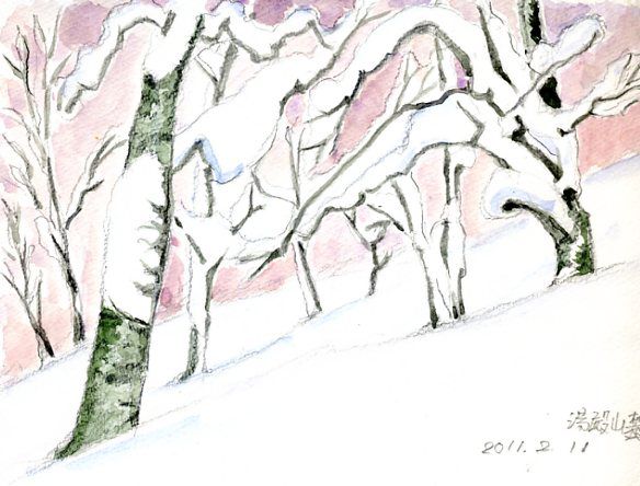 湯殿山麓のブナ林