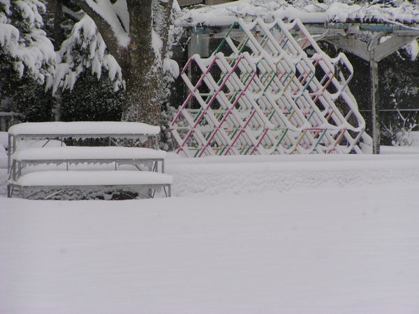 公園は