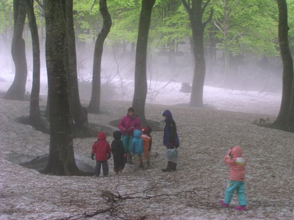 逞しい幼児達