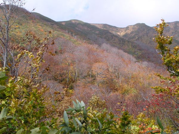 嘆願の風景
