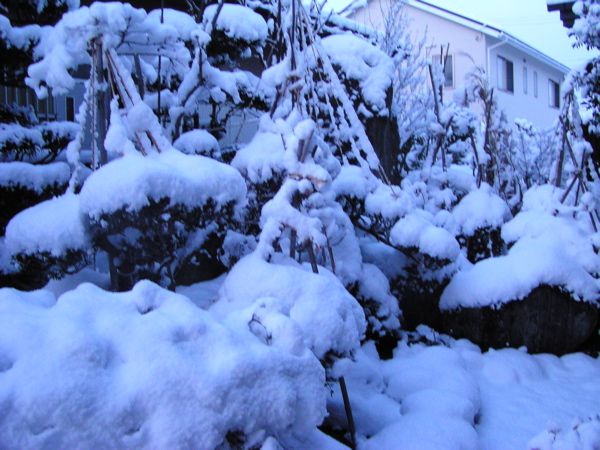 市内の雪