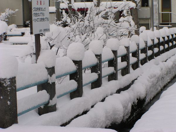 雪風情