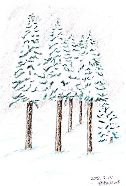 冷える朝の雪