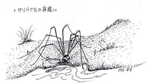 今年のテーマ