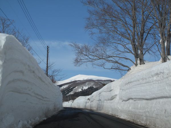 月山見えた
