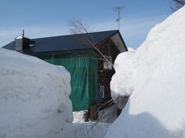 定住する人