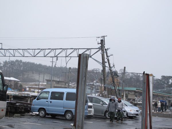 根こそぎ